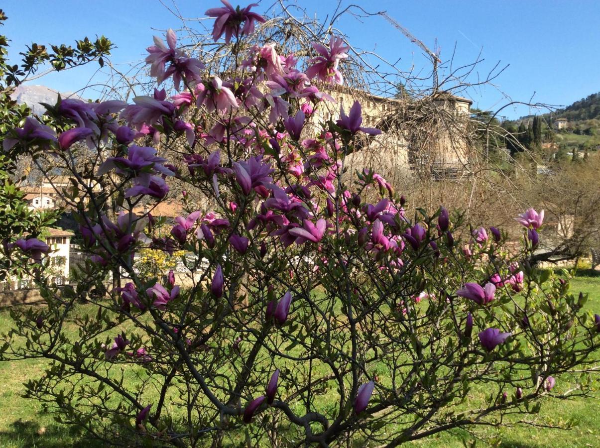 Bed and Breakfast Vista Castello Rovereto  Exterior foto