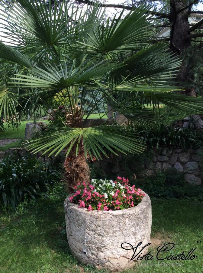 Bed and Breakfast Vista Castello Rovereto  Exterior foto